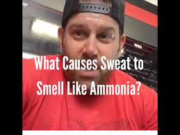 what causes sweat to smell like ammonia