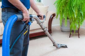 carpet cleaning services in abington
