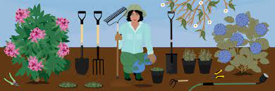 What Gardening Tools A Beginner Needs