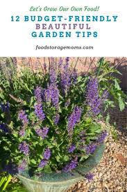 Budget Friendly Beautiful Garden Tips