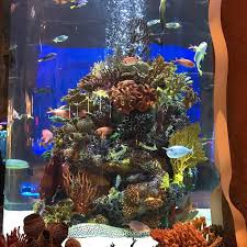 The Aquarium Restaurant Is The Most Unusual Restaurant In Nashville gambar png