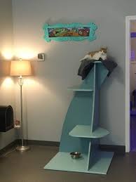 Courtyard by marriott charlottesville ⭐ , united states of america, charlottesville, 638 hillsdale dr: Naughty Cat Cafe Picture Of Naughty Cat Cafe Chattanooga Tripadvisor