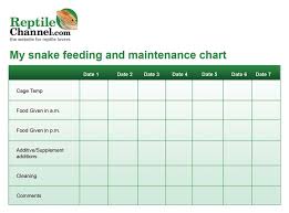 Print Out This Free Snake Feeding And Maintenance Chart To