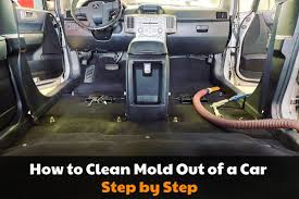 how to get mold out of cars do s and