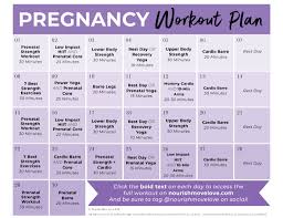 Rest assured you aren't missing anything. 30 Day Pregnancy Workout Plan Nourish Move Love