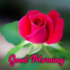 good morning images es wishes