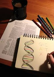 El nuevo alfabeto genético | Ciencia | EL MUNDO