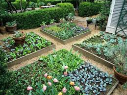 Raised Garden Beds For Vegetables