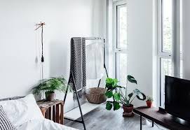 indoor plants to purify the air