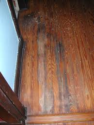 So i left a cold water bottle on the hard wood floors of my room before gymnastics my mom called me down ( we were running late) and i jumped in the car not thinking about the water. How To Restore Water Damaged Hardwood Floors Restorationmaster