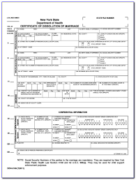 Nys Divorce Forms Statement Of Net Worth Form Resume Examples
