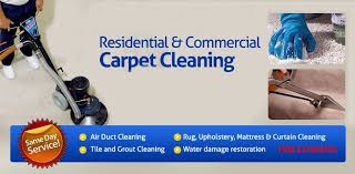 about santa monica carpet cleaning company