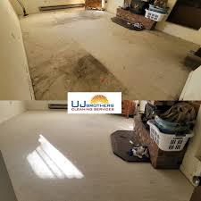 carpet cleaner service in skagit county