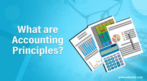 what are accounting principles guide