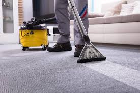 details regarding the carpet cleaning