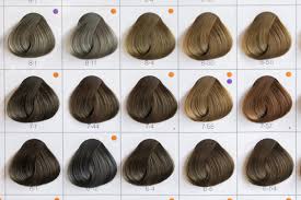 hair colour chart images browse 4 602