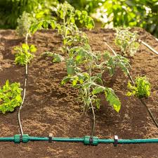 9 Smart Plant Watering System Ideas For