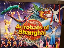 Amazing Acrobats Of Shanghai