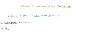 The Chemical Equation For Cellular