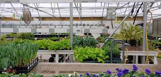 Greenhouse 2020 Tlc Garden Center