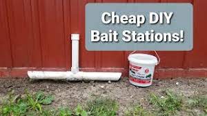 easy diy bait stations you
