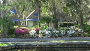 the village at palmetto dunes hilton