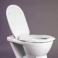 Dtuk40 Bariatric Toilet Seat With Lid