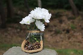 Fiori bianchi in un vaso. Fiori Bianchi I 10 Piu Eleganti Per Abbellire Casa E Giardino