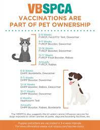 The rabies vaccine usually lasts for 3 years, and the dog rabies vaccine schedule works accordingly. Vaccinations Virginia Beach Spca