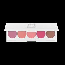 signature palette blush ofra cosmetics