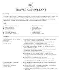 travel consultant resume exles