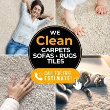 carpet cleaner al near studio city