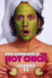 All Posters for The Hot Chick at Movie Poster Shop