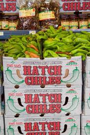 25 amazing new mexico hatch chile recipes and how to roast prep and