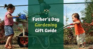 Father S Day Gardening Gift Guide