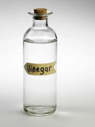 does vinegar kill bed bugs and eggs