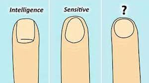 personality test your nail shape