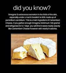 Smegma cheese : r/BrandNewSentence