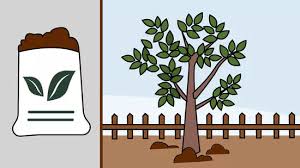 This is especially wonderful for young kids to witness and marvel at how that tiny seed will one day become a big, strong young tree. How To Grow An Apple Tree From A Seed With Pictures Wikihow
