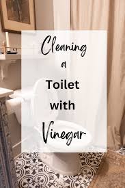 How To Use Vinegar As A Toilet Cleaner
