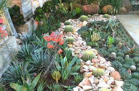 Succulent Garden Ideas Indoor Outdoor