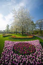 the most beautiful flower garden in the