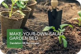 Make Your Own Salad Garden Bed