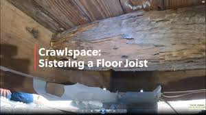 sistering floor joists due to termite