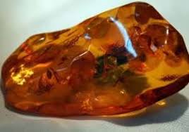 how to spot fake baltic amber