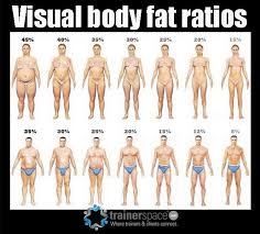 visual bodyfat ratios bret contreras