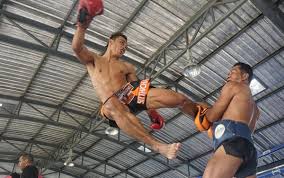 muay thai kicks training