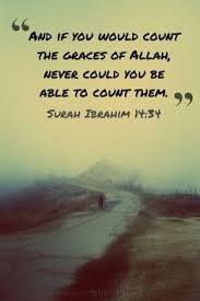 Islamic quotes on Pinterest | Allah, Quran and Islam via Relatably.com