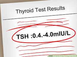 How To Read And Understand Thyroid Test Results Expert Guide