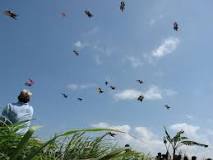 where-can-you-find-kite-festival